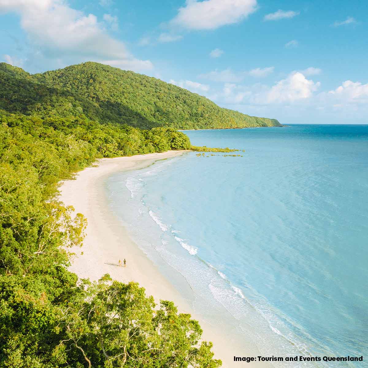 Cape Tribulation Camping, Queensland